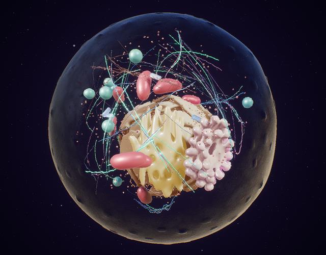 IKON per l’Immaginario Scientifico: un’applicazione interattiva per “Viaggiare dentro la Cellula”  